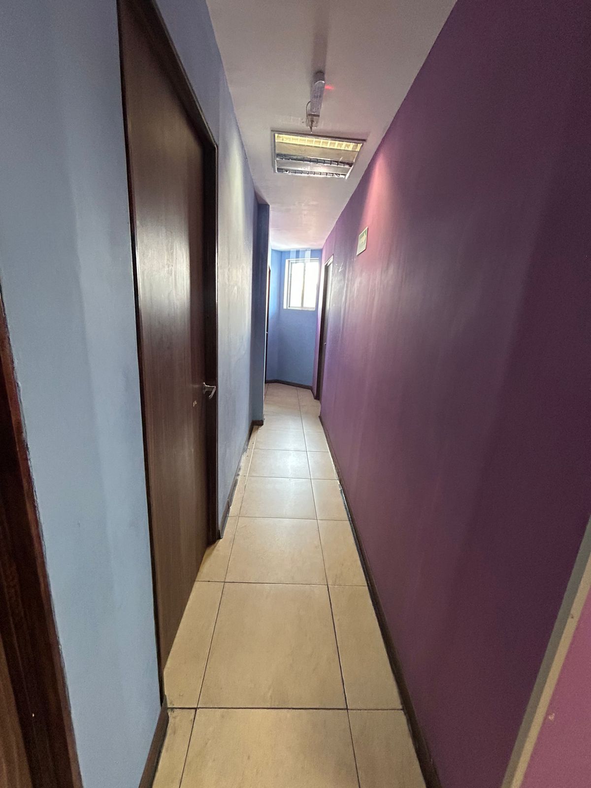 Galería 1
