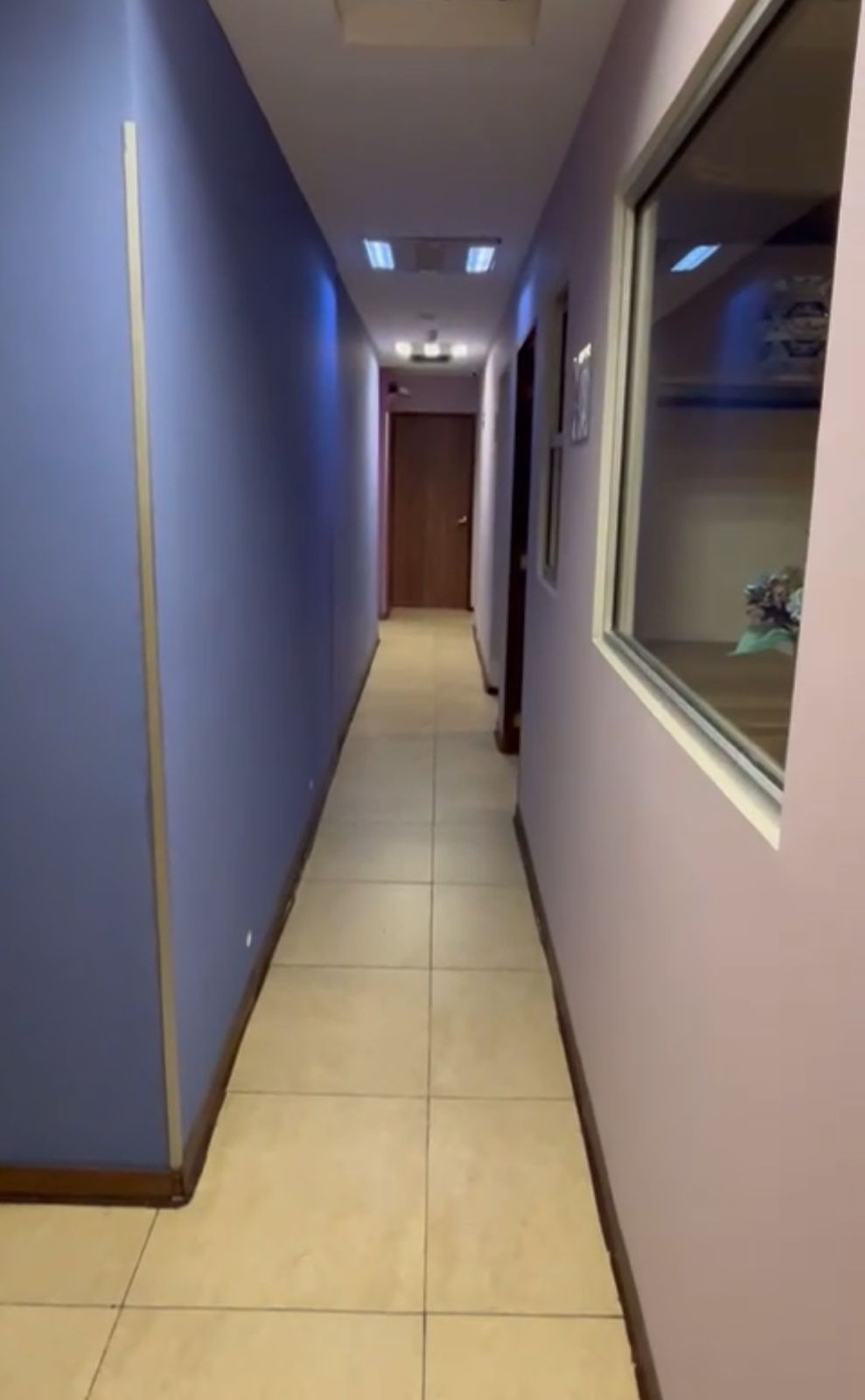Galería 15